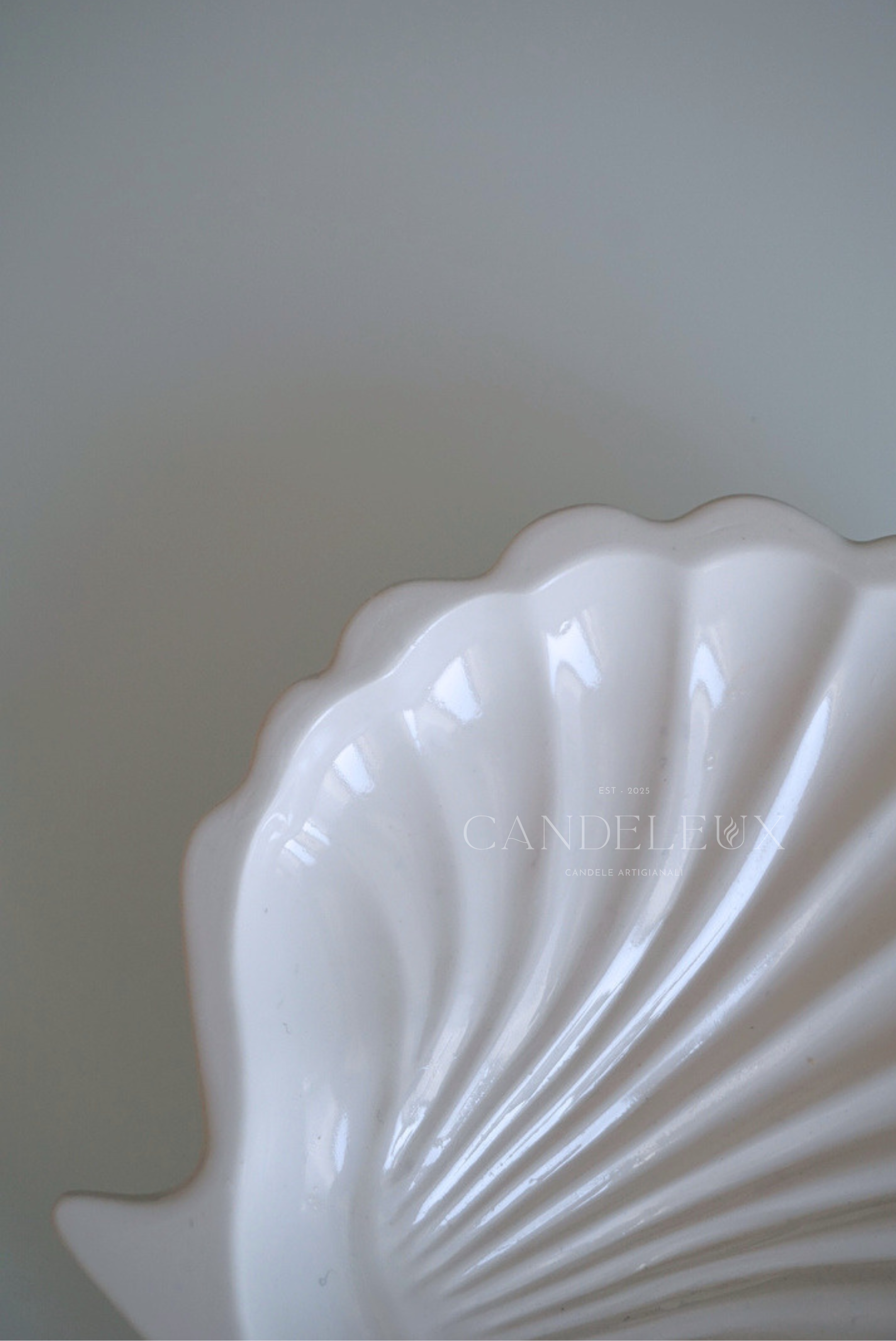 Conchiglia | Piattino in Jesmonite