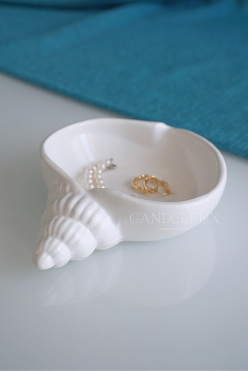 Conchiglia Spirale in Jesmonite