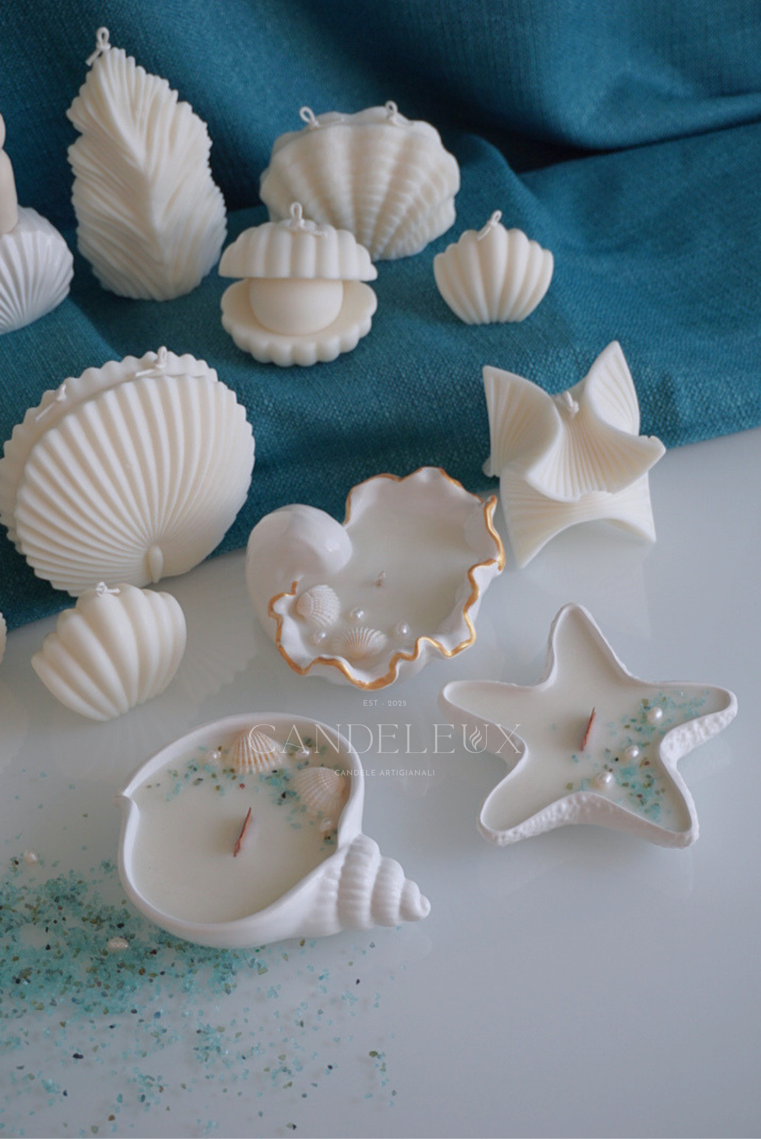 Conchiglia Spirale in Jesmonite