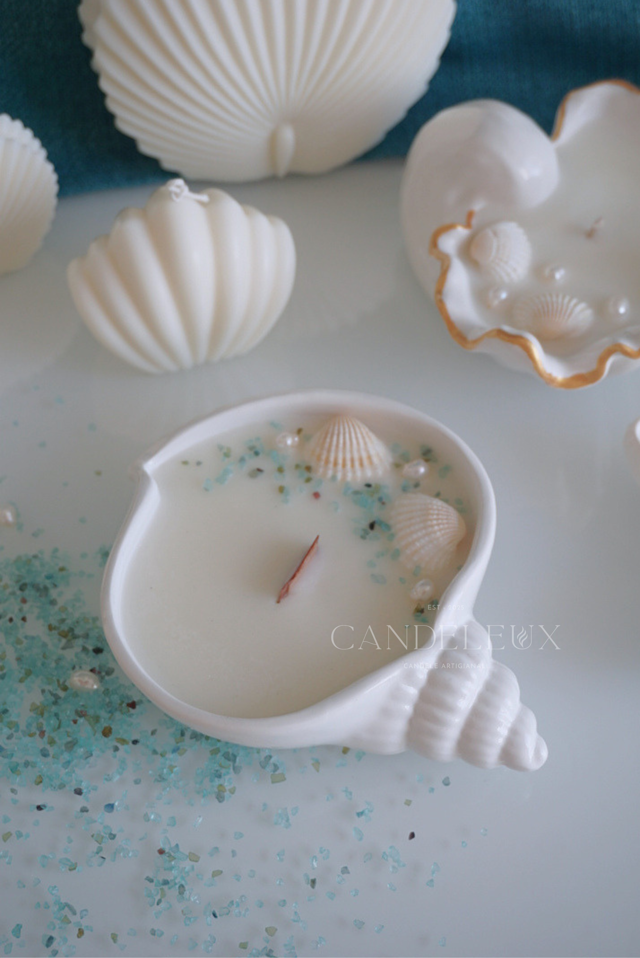 Conchiglia Spirale in Jesmonite