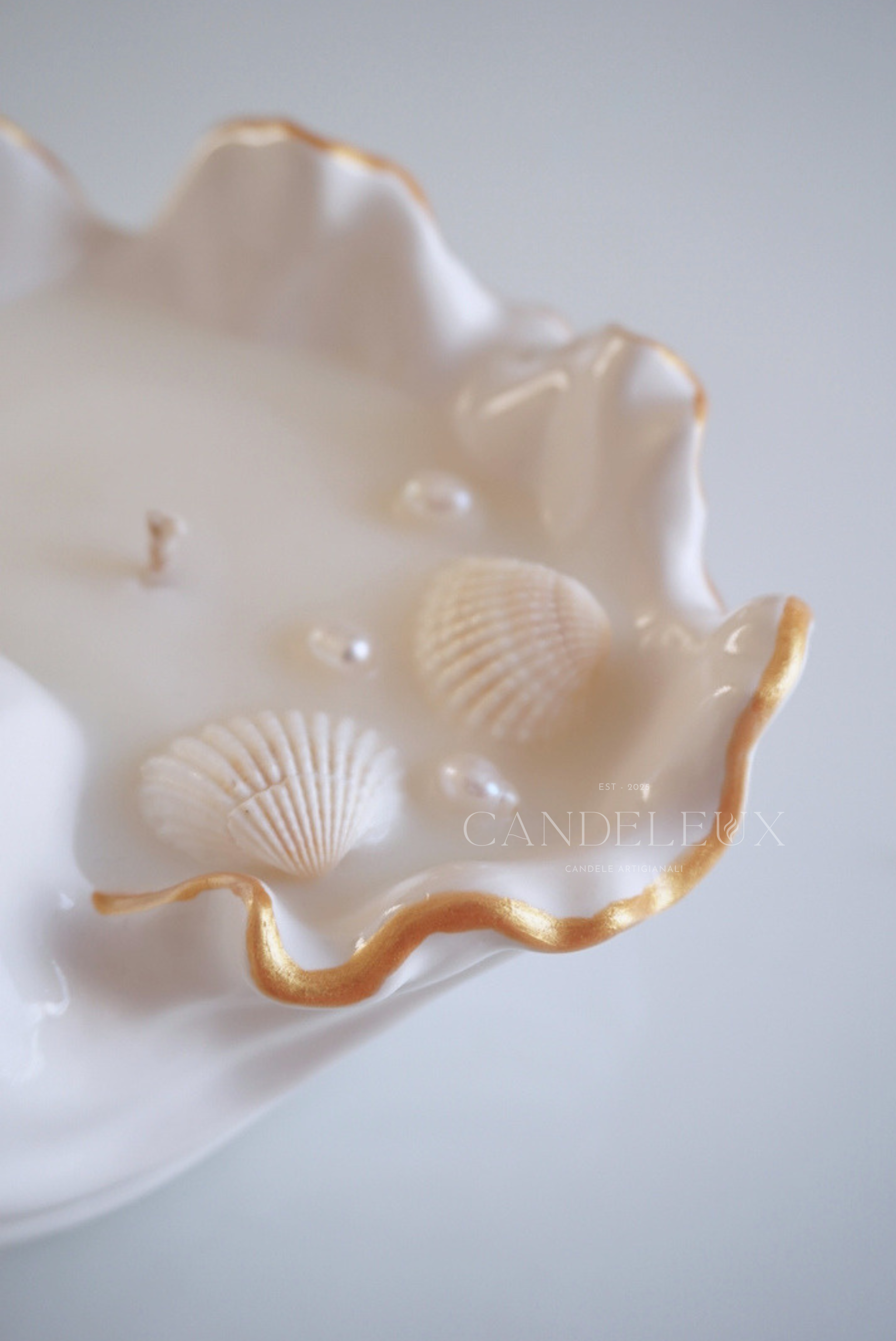 Conchiglia Madreperla in Jesmonite