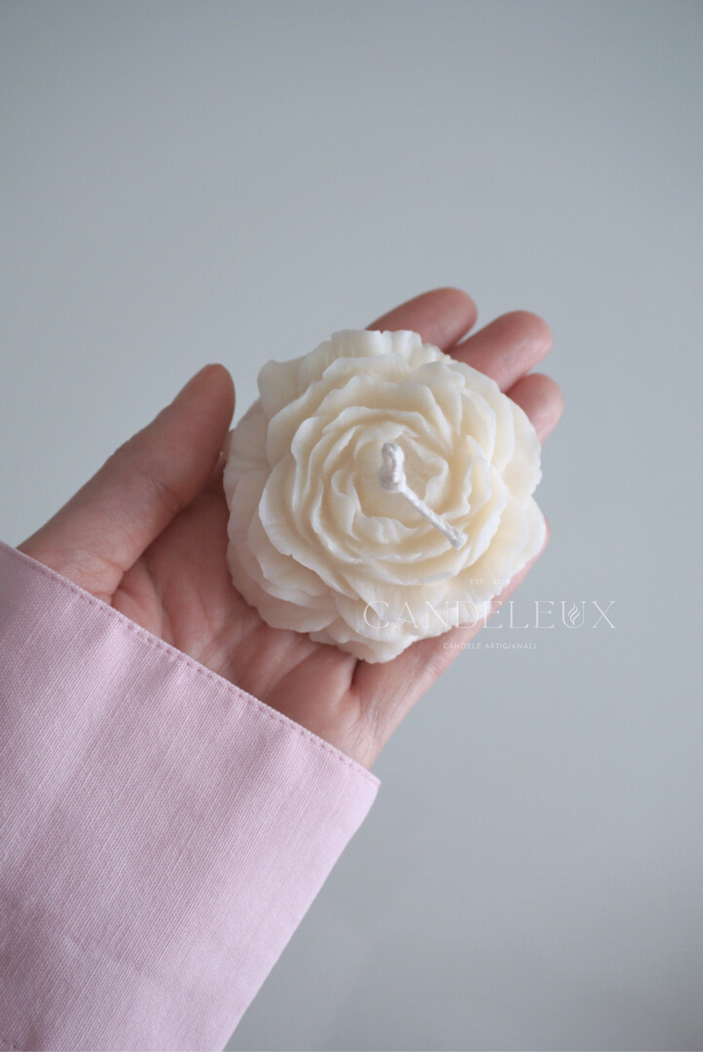 Peonia