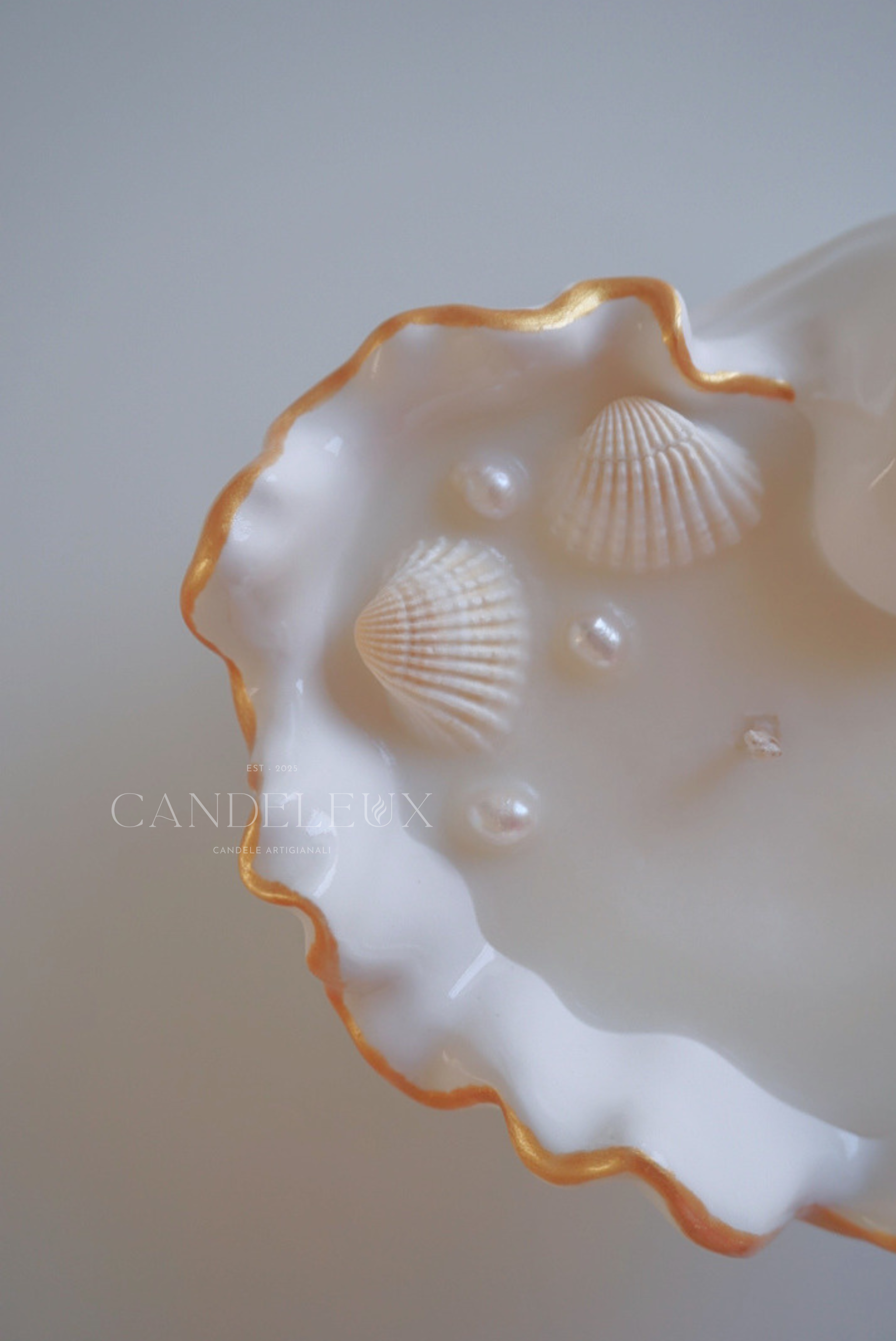 Conchiglia Madreperla in Jesmonite