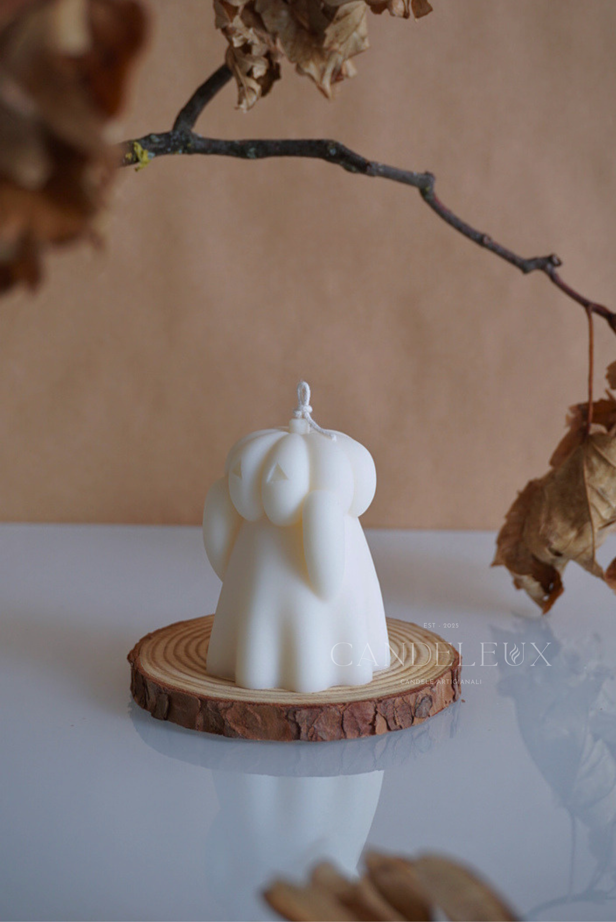 Fantasma Timido
