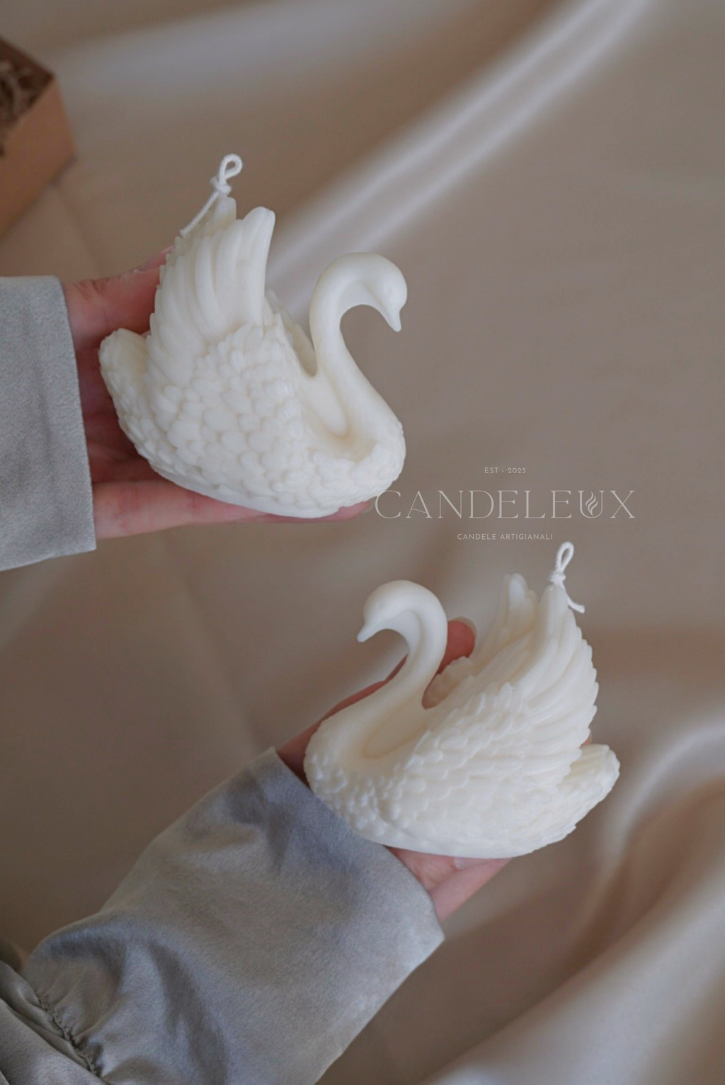Cigno Bianco