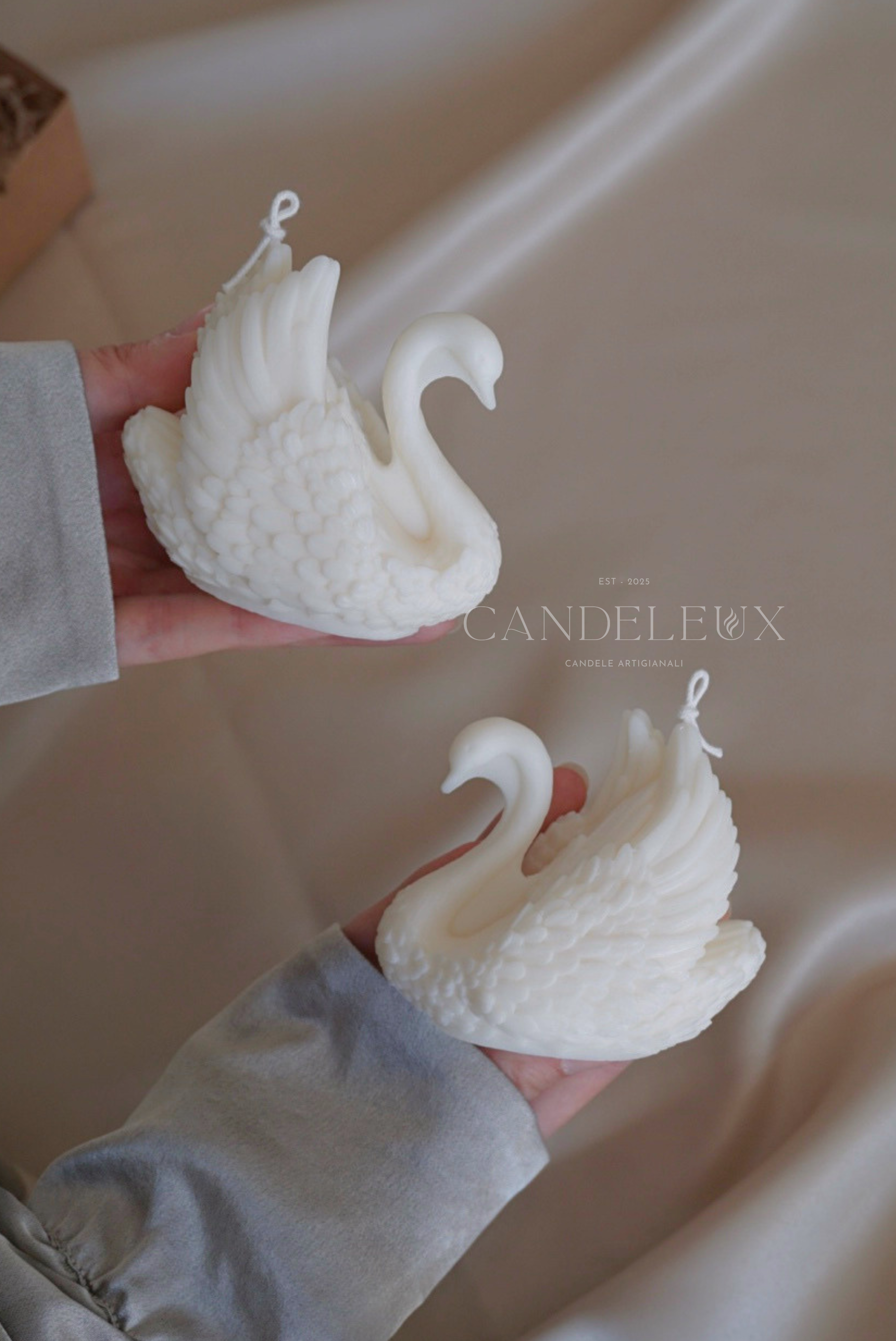 Cigno Bianco